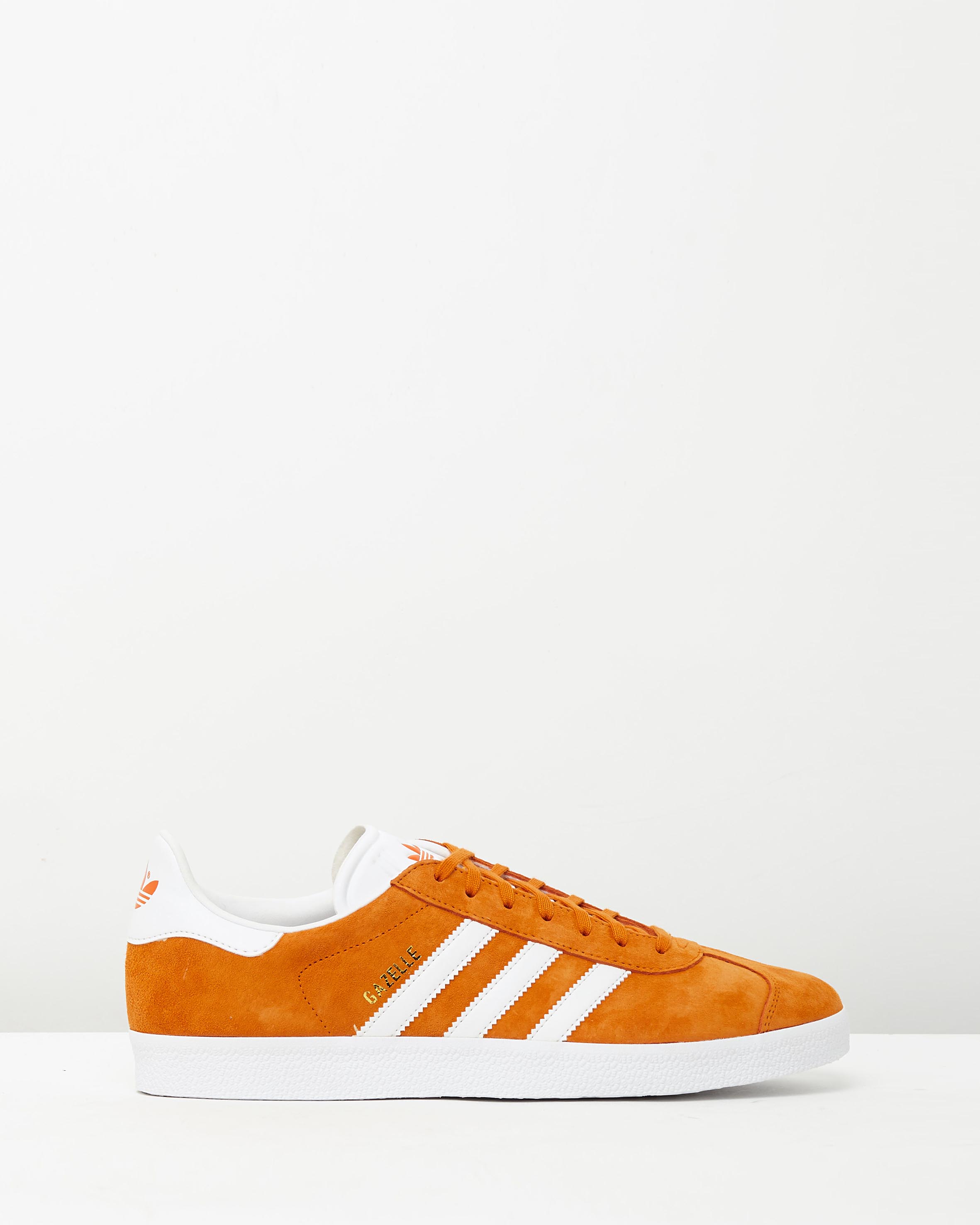 orange and black gazelles